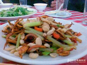 爆料农村美食视频大全,农村美食视频大全精选盘点